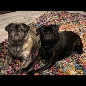 Meet your Posher, Nancy